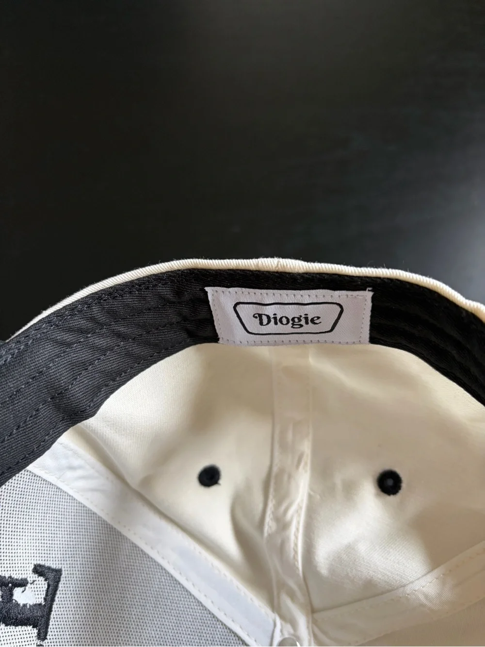 I Like Dogs Cream & Black 5-Panel Hat
